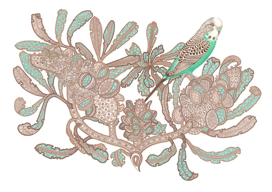 Mai Yazawa - Budgie on a Banksia