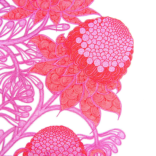 Mai Yazawa - Waratah Detail