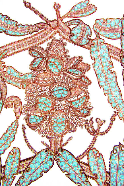 Mai Yazawa - Banksia Detail