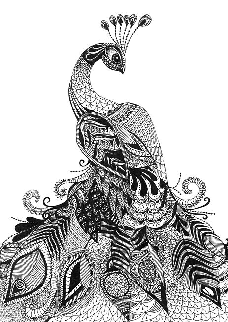 Peacock
