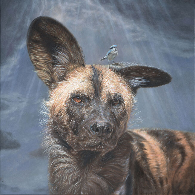 Lost and Found - Nicole Evans