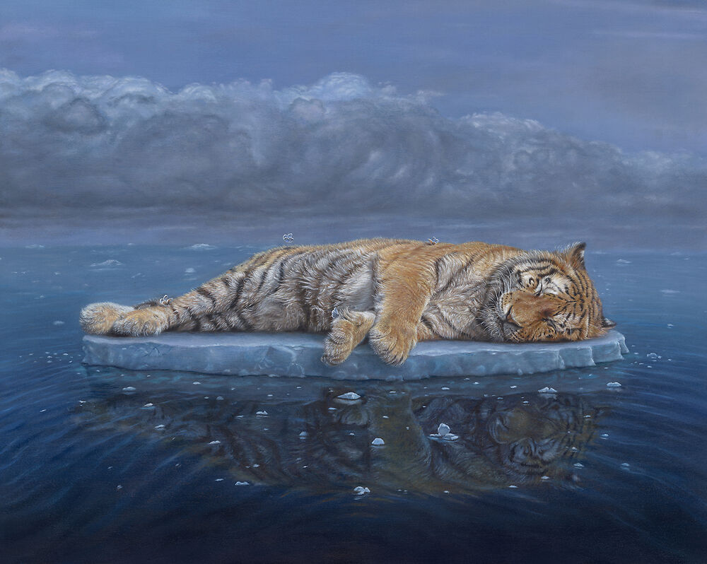 Reflection - Nicole Evans