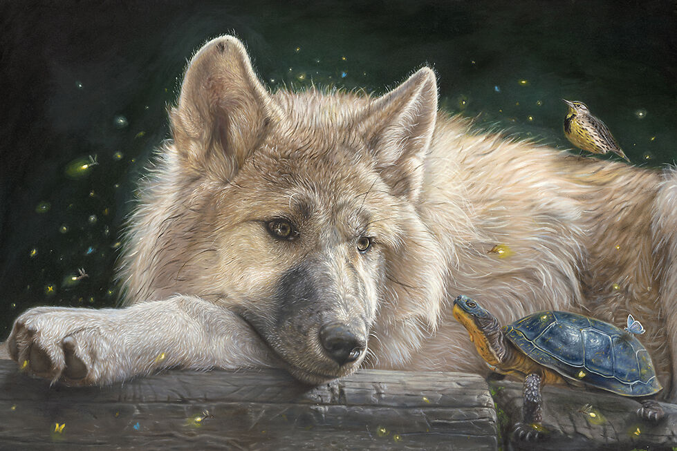Synergy - Nicole Evans