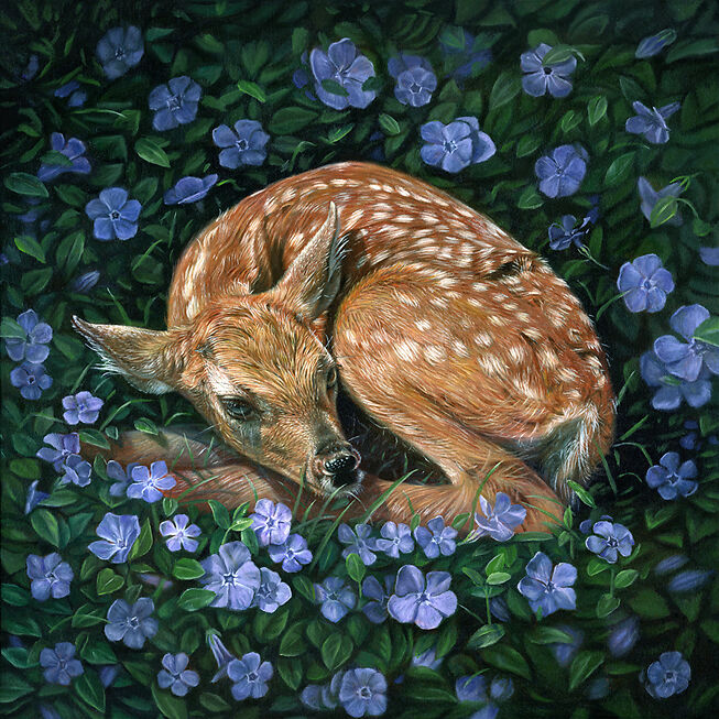 The Poison Garden - Nicole Evans