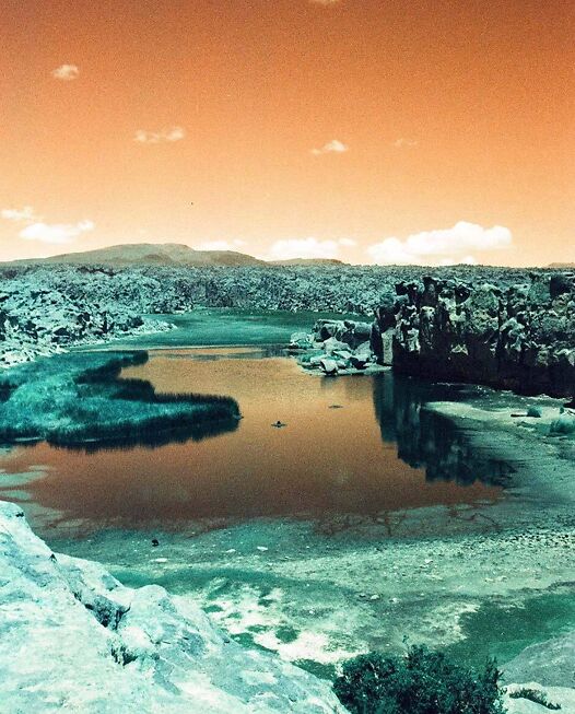 Prudence Bansemer After the Anthropocene