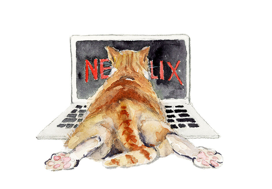 Netflix Cat - Qing Zhang
