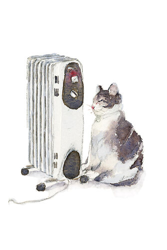 Heater Cat - Qing Zhang