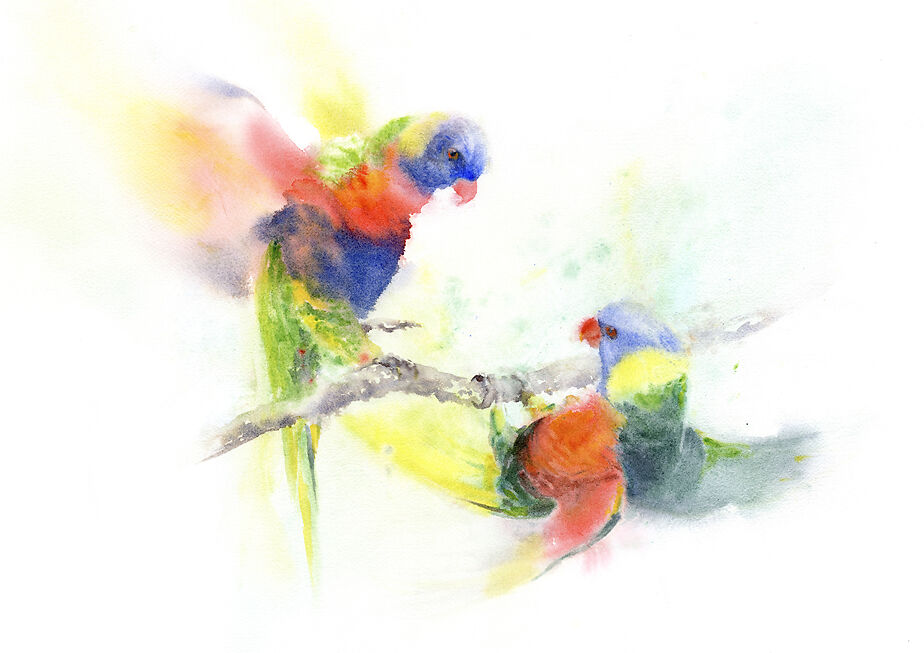 Lorikeets - Qing Zhang