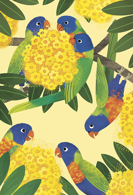 Rainbow Lorikeets - Sarah Allen