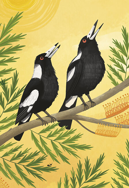 Magpies Warbling - Sarah Allen