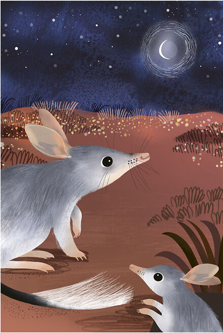 Bilbies - Sarah Allen