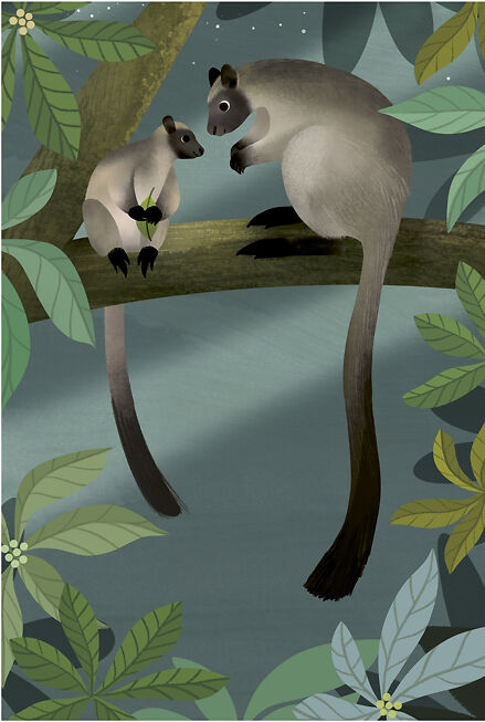 Tree Kangaroos - Sarah Allen