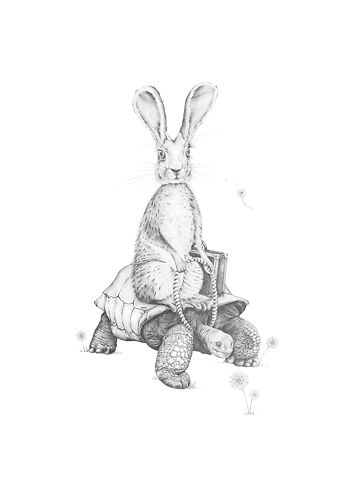 Tortoise and Hare