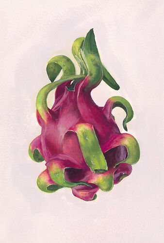 Sheng Yi Lee - Dragonfruit
