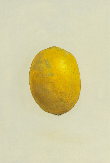 Sheng Yi Lee - Lemon