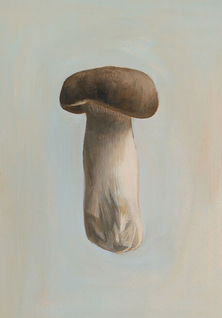 Sheng Yi Lee - Mushroom