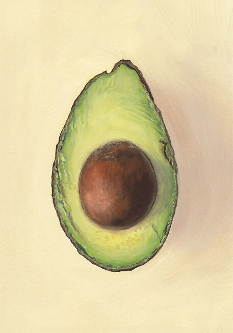 Sheng Yi Lee - Avocado