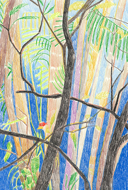 Sheng Yi Lee - Where's George?