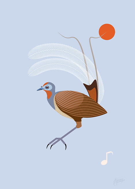 Art Worth Saving - Alberts Lyrebird
