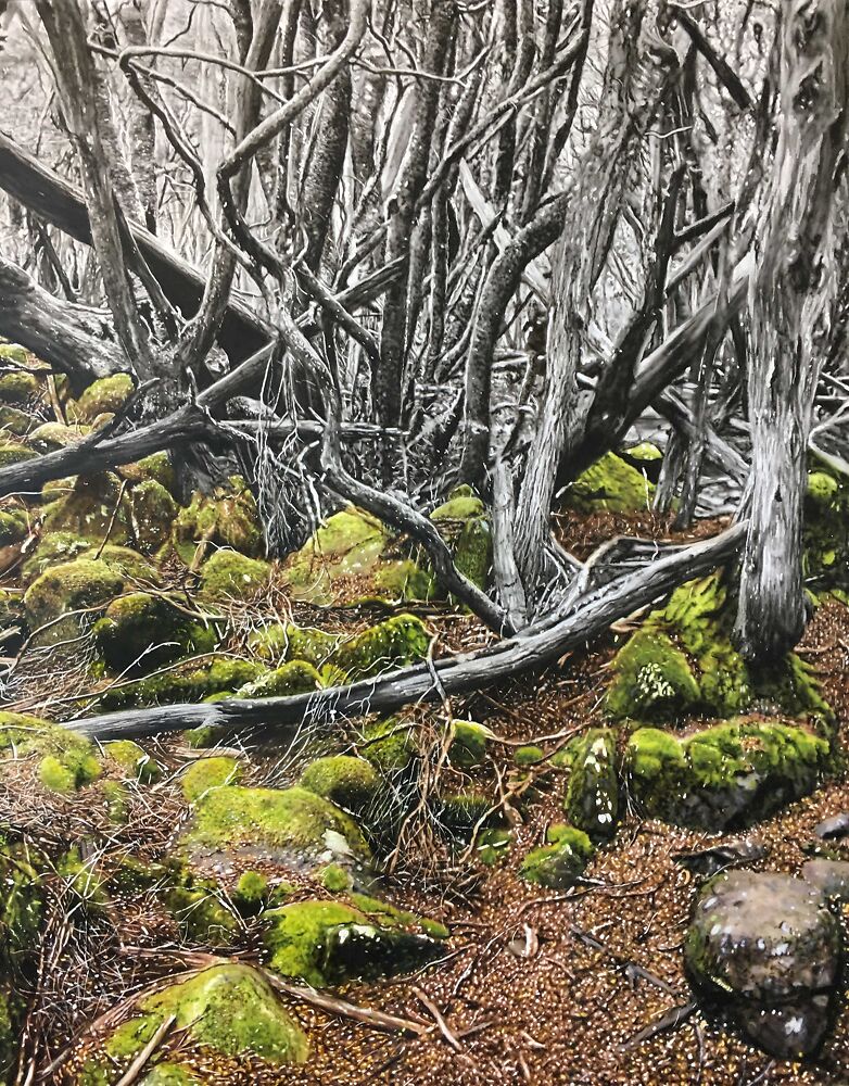 Overland Track - Todd Simpson