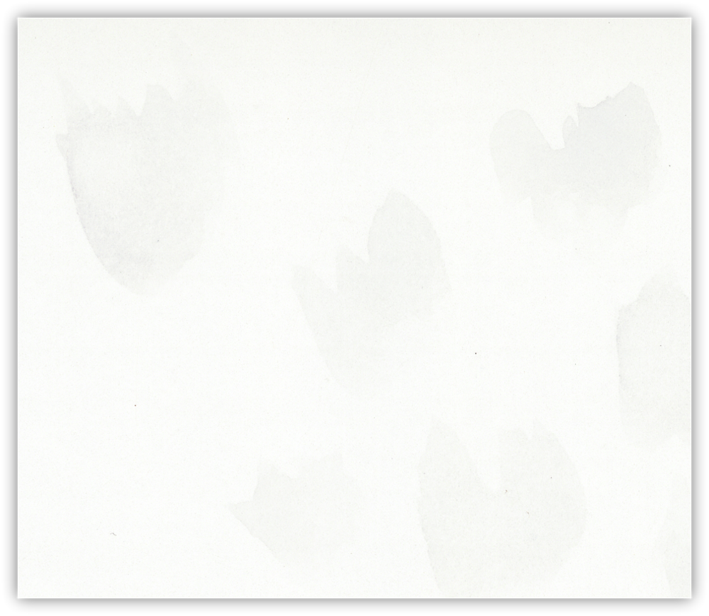 ..at a certain point, the wash tones are just too close to the paper tones, so separation becomes near impossible...