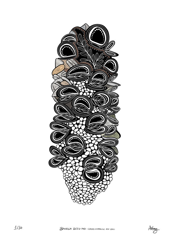 Banksia Seed Pod by Anli Vuong, illustrated, signed, titled and editioned uniquely by hand using Procreate on an iPad Pro.
