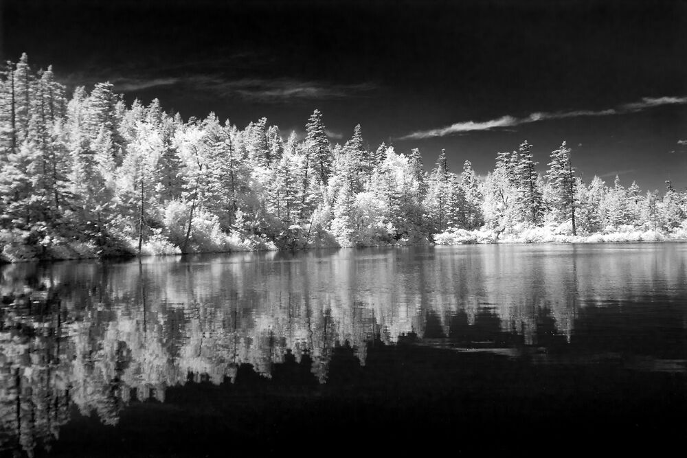 Example of Black and White Infared Film Image
