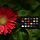 Calibrite ColorChecker Classic Nano Image
