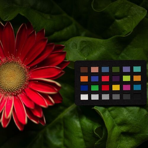 Calibrite Color Checker Classic Nano Flower