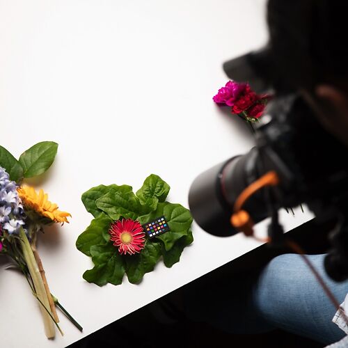 Calibrite Color Checker Classic Nano On Set