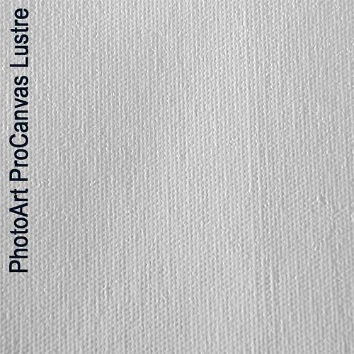 Canson Infinity Photo Art Pro Canvas Lustre 395gsm Texture