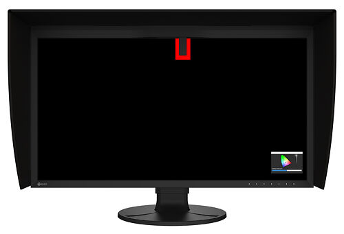 Eizo ColorEdge CG3100X 4K 30.5