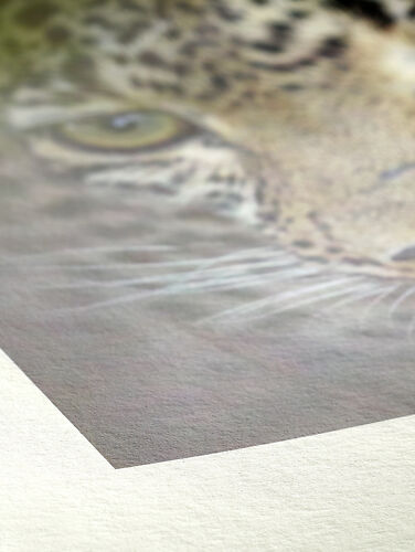 Hahnemuhle Natural Line Bamboo 290gsm Texture