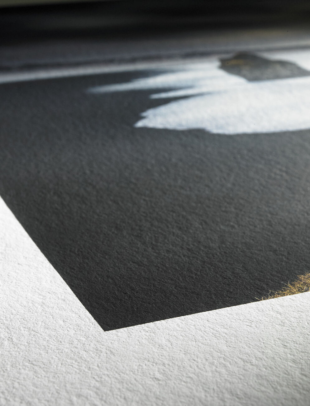 Hahnemühle Photo Rag Bright White 310gsm | Image Science