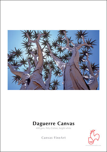 Hahnemuhle Daguerre Canvas 400gsm