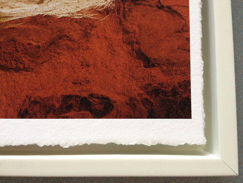 Hahnemuhle Museum Etching Deckle Edge 350 GSM Sample