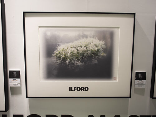 Print on Medina at CP+ 2019 Japan