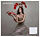 Ilford Galerie Metallic Gloss 260gsm Image