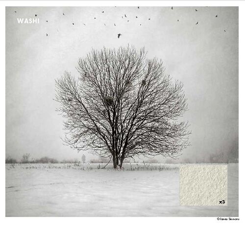 Galerie Tesuki Washi Echizen Warmtone 110 Texture