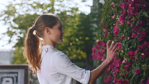 Palette Cube Lifestyle Flowersv2