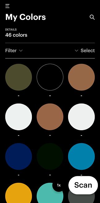 'My Colors'