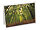 Red River Aurora White Fine Art Cards 300gsm Image