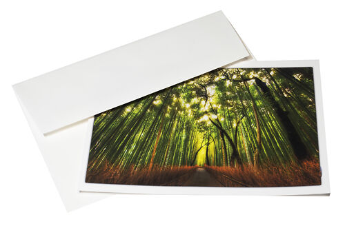 Red River Cards Aurora Art White 300gsm With Envelope 2