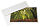 Red River Polar Matte 5x7in Cards 230gsm Image