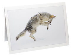 Red River Linen Cards 240gsm