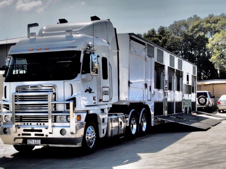 Carriersthe Easiest Way To Book Horse Transport In Australia Horsetransporter