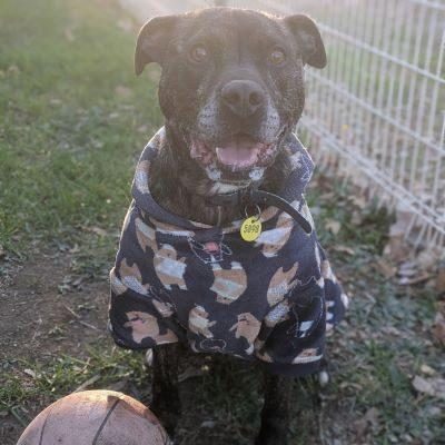 Tonka