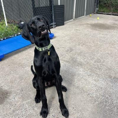 Tux