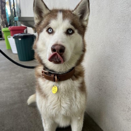 Ares