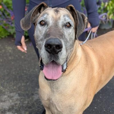 Sarah Jessica Parker